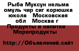 Рыба Муксун нельма омуль чир сиг корюшка юкола - Московская обл., Москва г. Продукты и напитки » Морепродукты   